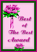 best of the best award